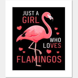 Flamingo Girl Posters and Art